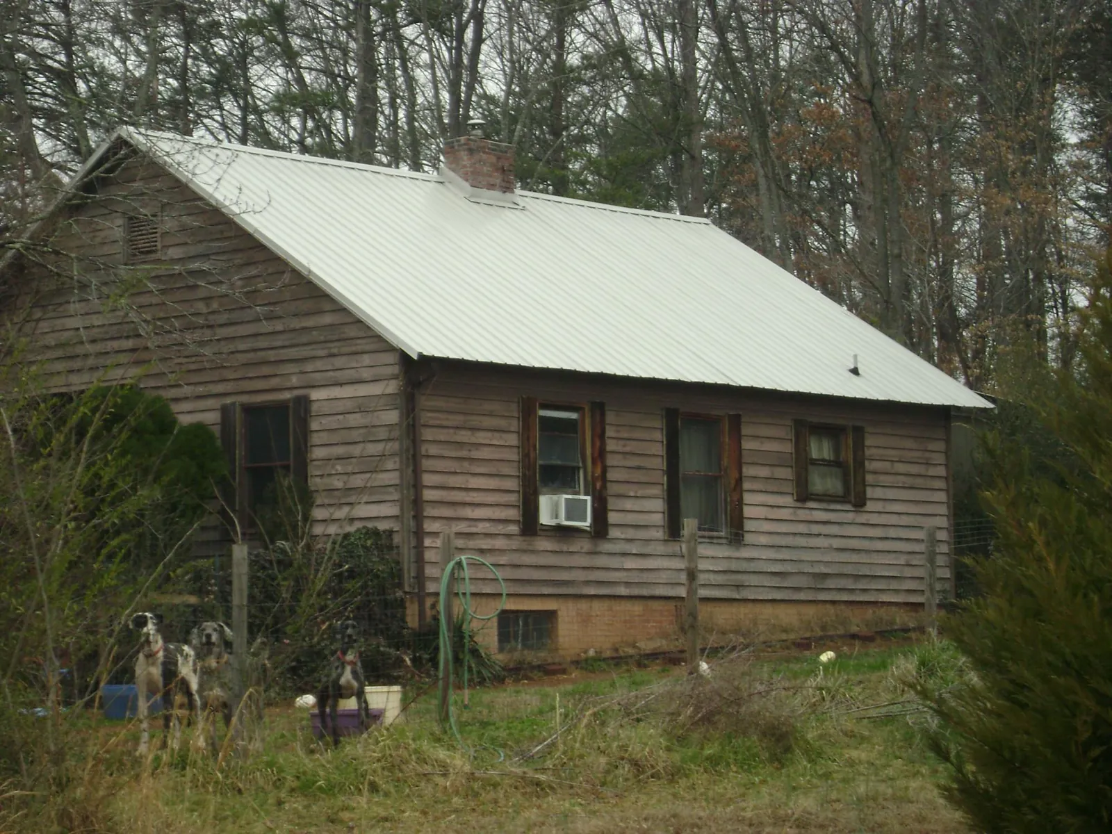 White metal roof on an old wood sided farmhouse, from a Asphalt Shingle Roof Repair job in Albrightsville